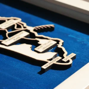 carte ile oléron en relief