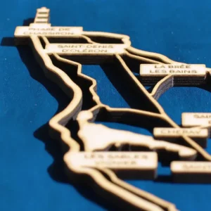 zoom carte ile oleron